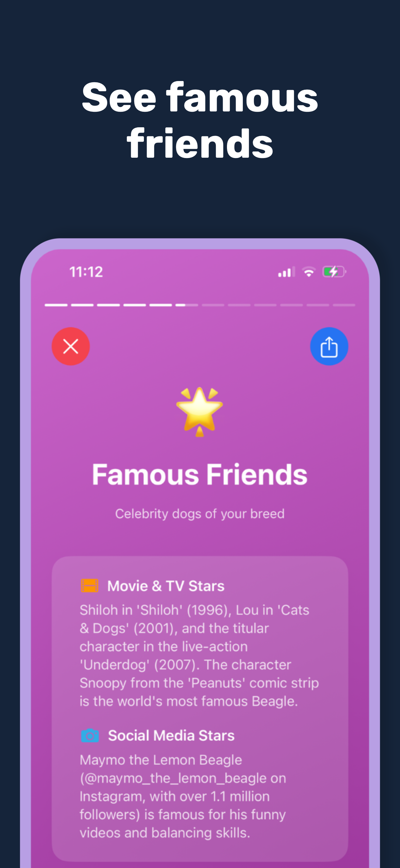 DogIdentifier App Screenshot 4