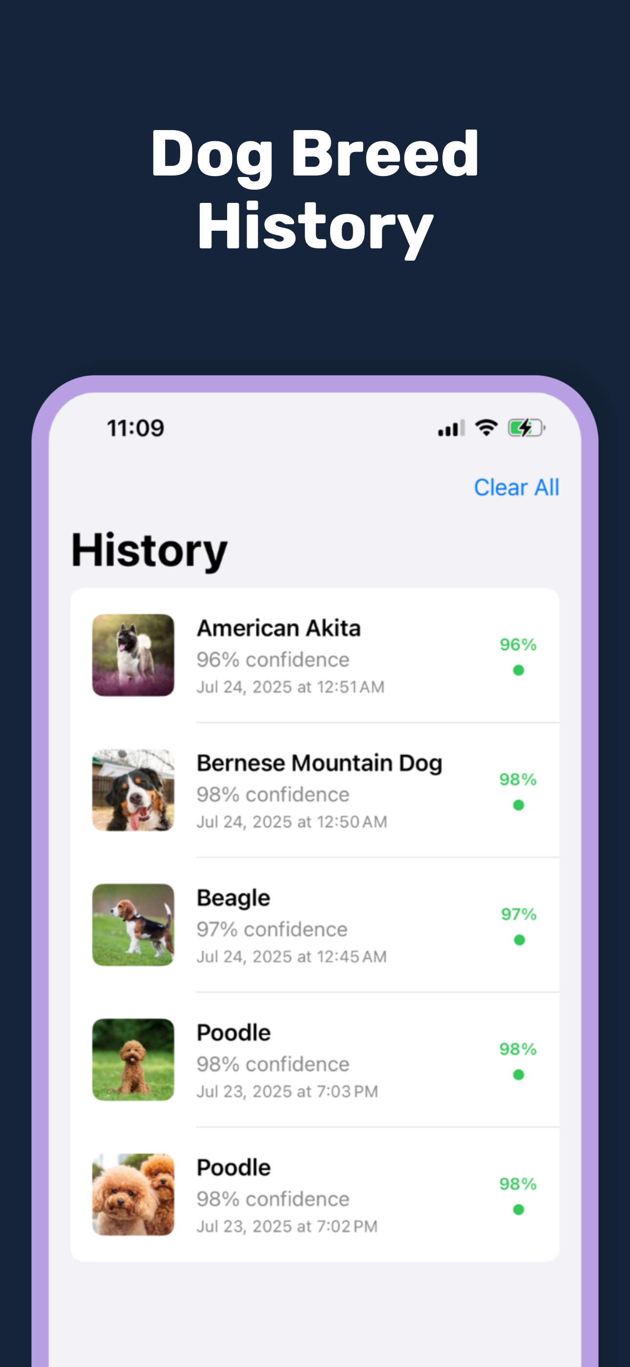 DogIdentifier App Screenshot 5