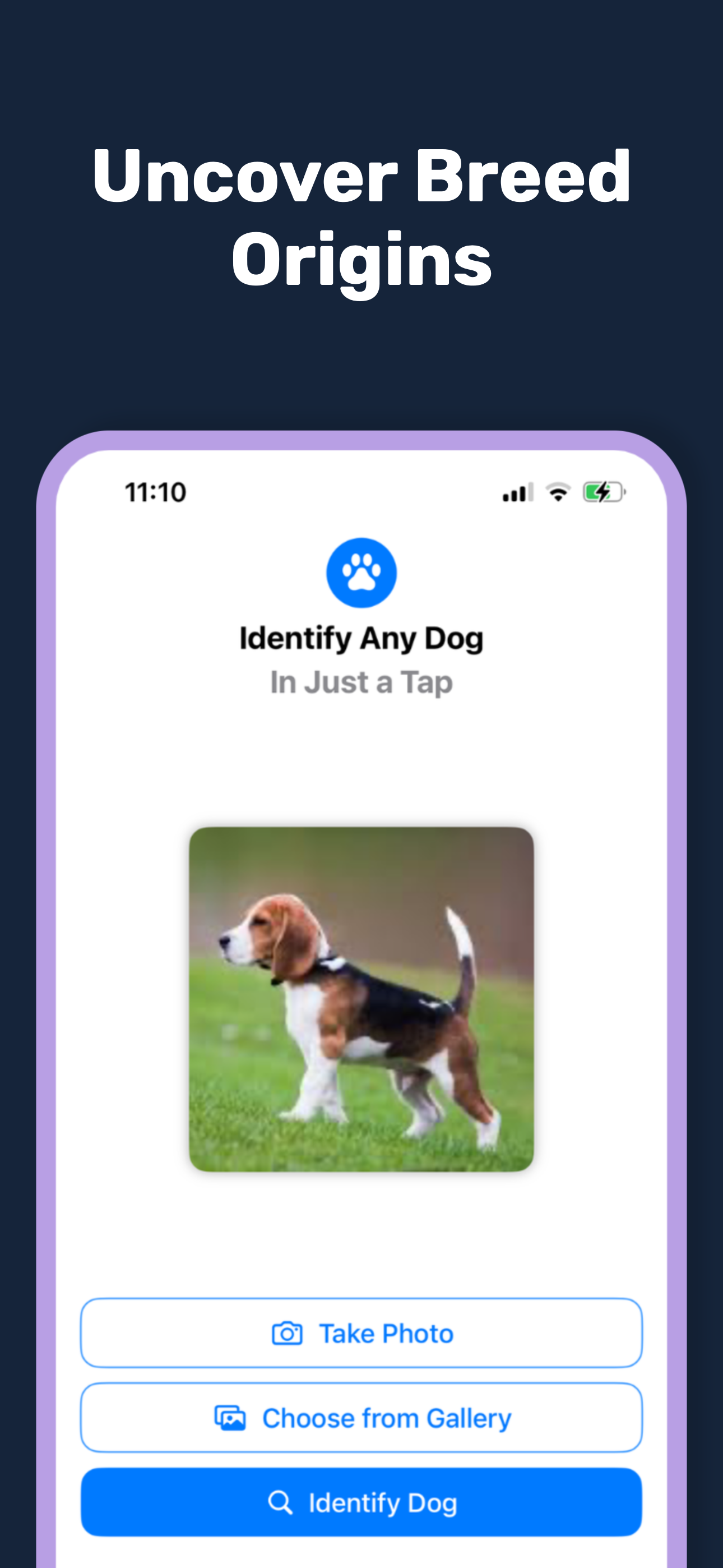 DogIdentifier App Screenshot 8